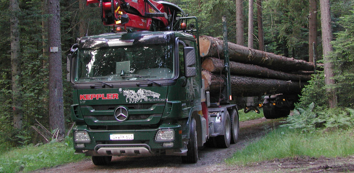 Holzfahrzeug